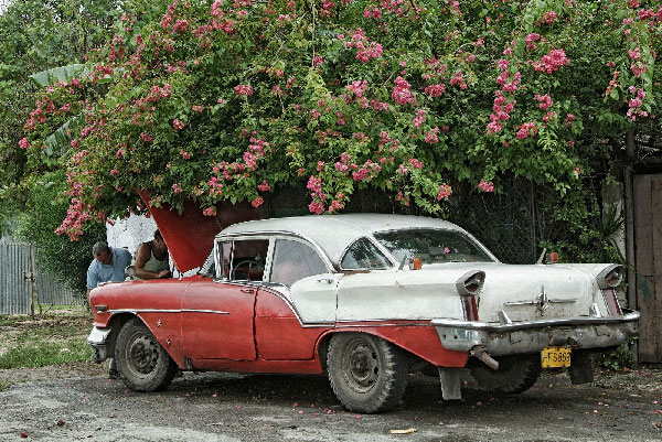 Bild: Kuba Cars von Klaus Westermann